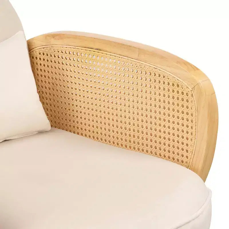 Chaises de salle à manger avec dossier et assise en mousse, accoudoirs en rotin, chaise d'appoint en rotin avec pieds en métal, fauteuil du milieu du siècle