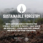 Banc d'appoint en bois massif à bord brut Sunset Cedar de RESTORE par Pipe Decor