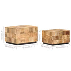 vidaXL Tables basses en bois de manguier brut - Lot de 2 tables d'appoint gigognes au design carré, marron, aucun assemblage requis