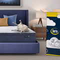Serta Five Star Mattress - 12 Plush Pillow Top
