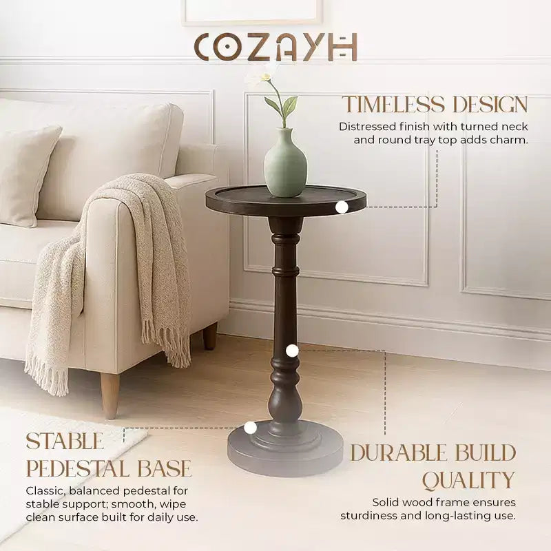 COZAYH Table d'appoint piédestal à plateau pour boisson, lampe, plante, marron foncé, lot de 2