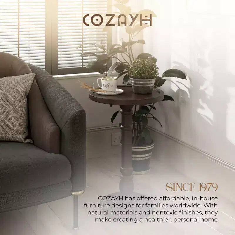 COZAYH Table d'appoint piédestal à plateau pour boisson, lampe, plante, marron foncé, lot de 2