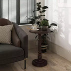 COZAYH Table d'appoint piédestal à plateau pour boisson, lampe, plante, marron foncé, lot de 2
