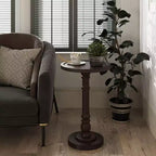 COZAYH Table d'appoint piédestal à plateau pour boisson, lampe, plante, marron foncé, lot de 2