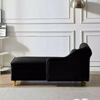 MAYEERTY Canapé de relaxation moderne rembourré avec rangement en velours pour salon ou chambre à coucher, noir
