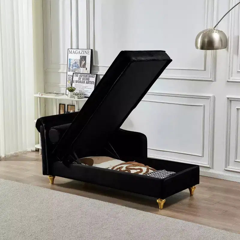 MAYEERTY Canapé de relaxation moderne rembourré avec rangement en velours pour salon ou chambre à coucher, noir