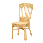 Chaise de salle à manger en rotin moderne bohème GDFStudio Tuttle