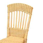 Chaise de salle à manger en rotin moderne bohème GDFStudio Tuttle
