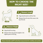 Meuble Niche Double pour Chiens en Bois avec 2 Tiroirs et Séparateur