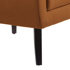Lot de 2 fauteuils de salon en velours avec accoudoirs