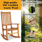 Chaise Berçante Cadre en Bois Massif Balancelle de Porche Intérieur Extérieur