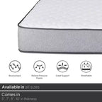 Matelas en mousse haute densité Continental Sleep, ferme moyen, à plateau non capitonné, de 8 pouces.