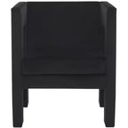 Vidar Accent Chair - ACH4013 - Safavieh