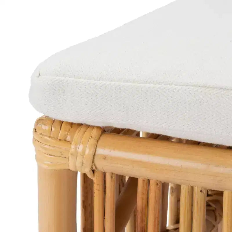 Fauteuil d'appoint Erika en rotin avec coussin - ACH6511 - Lot de 2 - Safavieh