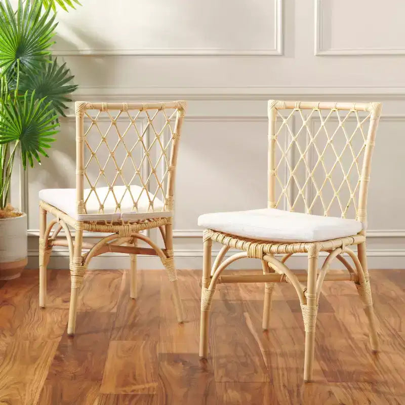 Chaise de salle à manger Austri - Lot de 2 - DCH6503 - Blanc/Naturel - Safavieh