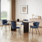 Chaises de salle à manger modernes, lot de 2