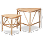 Lot de 2 tables d'appoint Jayden en rotin de couleur marron naturel