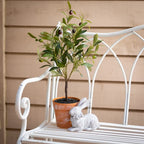Banc de jardin en métal blanc éclatant Sullivans 36H Blanc - 45,5L x 18,5W x 36H