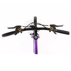 VTT Titan Bikes Wildcat 12 vitesses pour femme, violet/noir