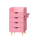 Meuble de Rangement de Salon à 4 Niveaux
