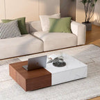 Table basse moderne avec deux espaces de rangement