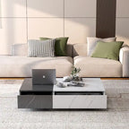 Table basse moderne avec deux espaces de rangement
