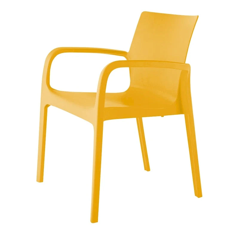 Chaise de salle à manger empilable avec accoudoirs Alissa, en résine, tout temps, lot de 2